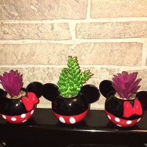 New Mickey and Minnie Mini Planters with Artificial plants